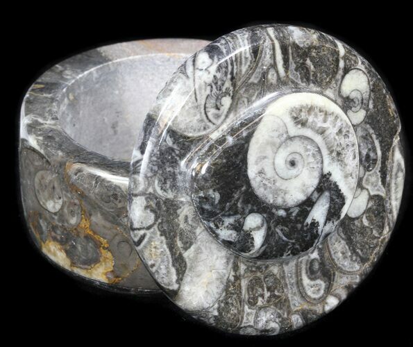 Small Fossil Goniatite Jar (Black) - Stoneware #38007